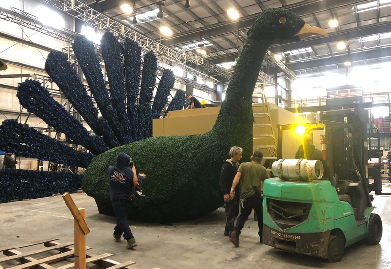 Custom Topiary Peacock: Installation view